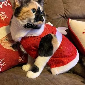 Meet your Posher, Annette